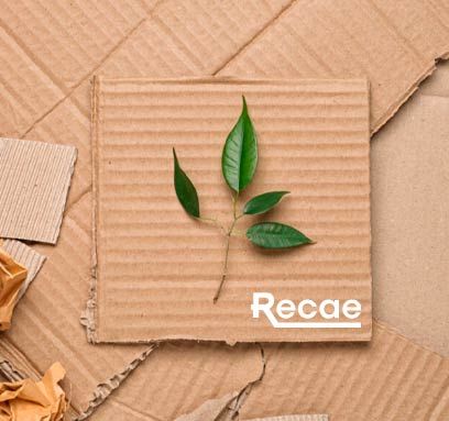 envases de papel