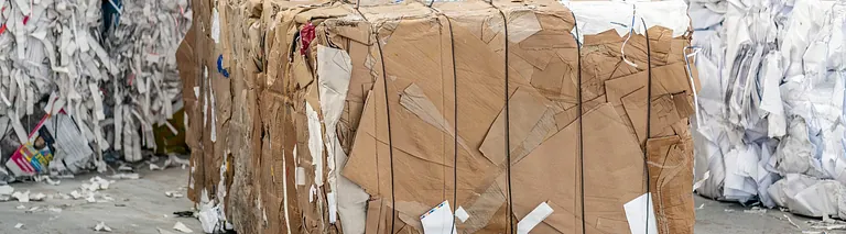 hombre sujeta botella de plastico en planta reciclaje